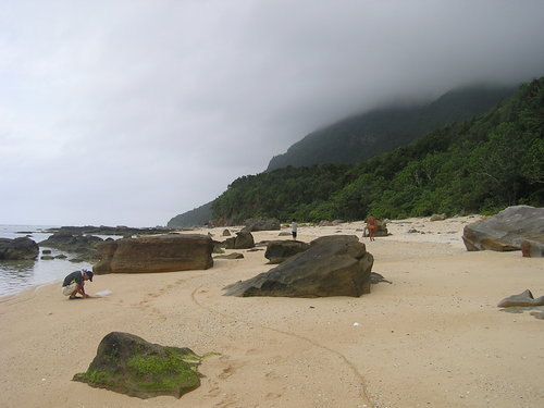 f0137483_15103654.jpg