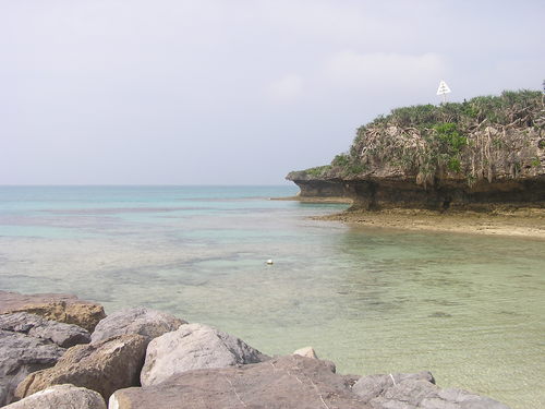 f0137483_1513110.jpg