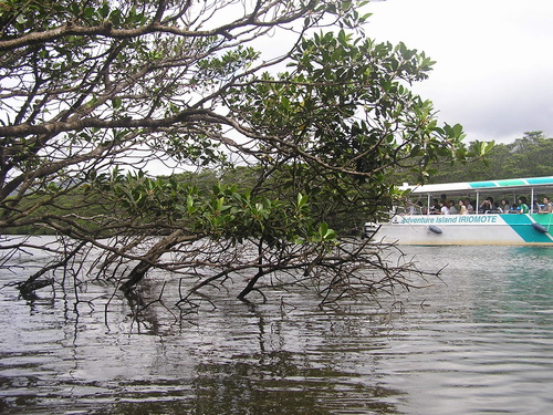 f0137483_1518632.jpg