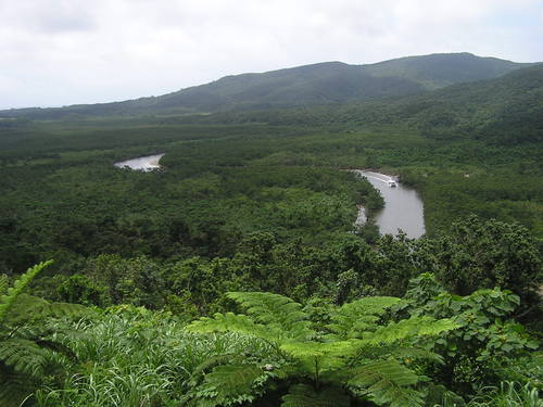 f0137483_1519569.jpg