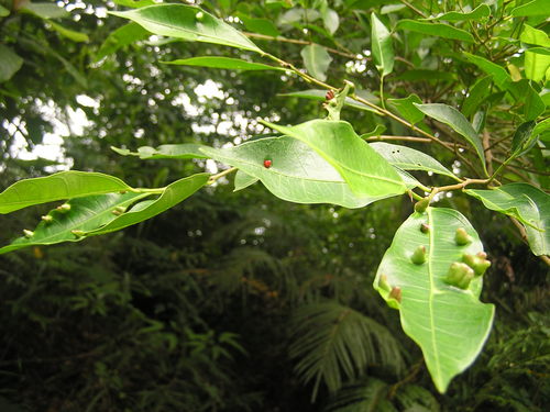 f0137483_15201272.jpg