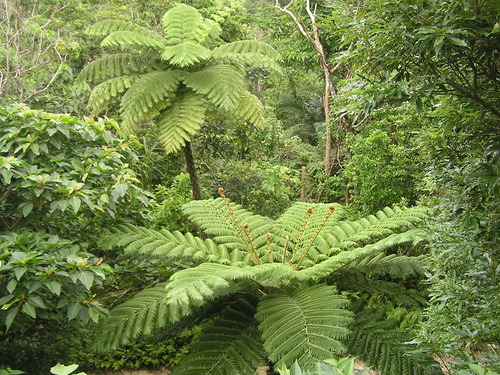 f0137483_15203252.jpg