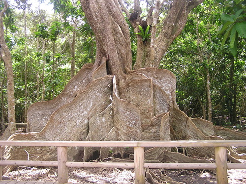 f0137483_15222610.jpg