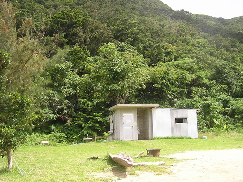 f0137483_15241724.jpg