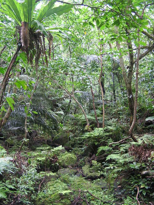 f0137483_15255239.jpg