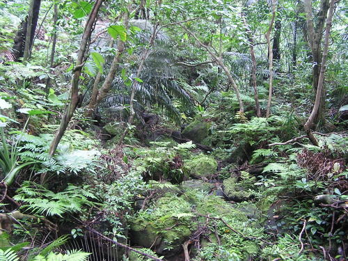 f0137483_1526784.jpg