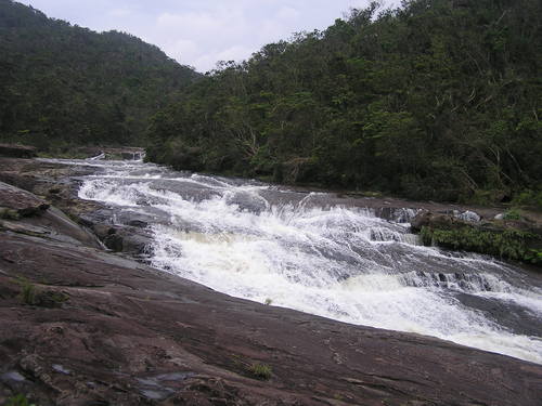 f0137483_15302082.jpg