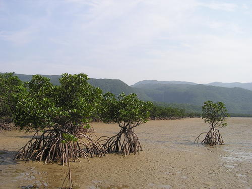 f0137483_15324327.jpg
