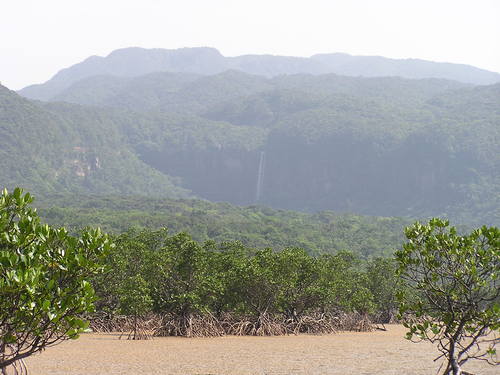 f0137483_15331568.jpg