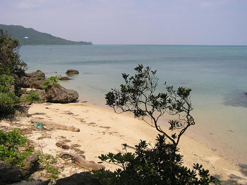 f0137483_15412596.jpg
