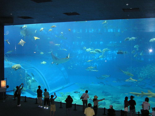 f0137483_15441461.jpg