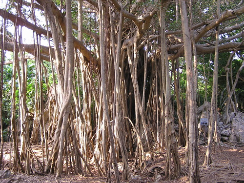 f0137483_15495783.jpg