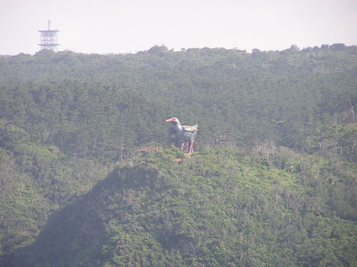 f0137483_15511858.jpg