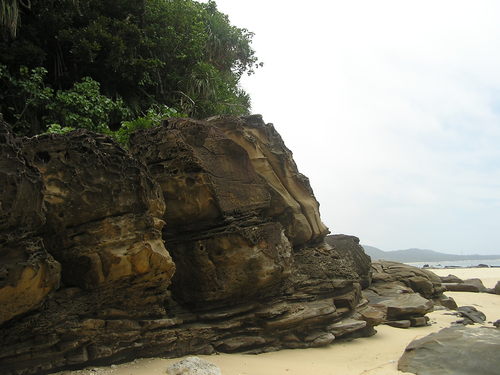 f0137483_159567.jpg