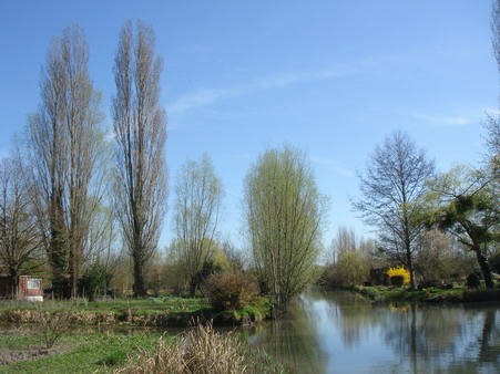 a0247585_865347.jpg