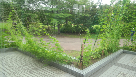 b0257387_21545752.jpg
