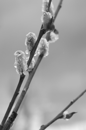 b0226089_21542041.jpg
