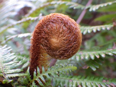 a0125598_21274562.jpg