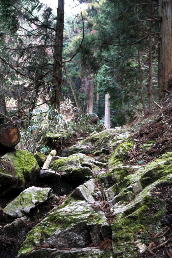 f0169998_1237750.jpg