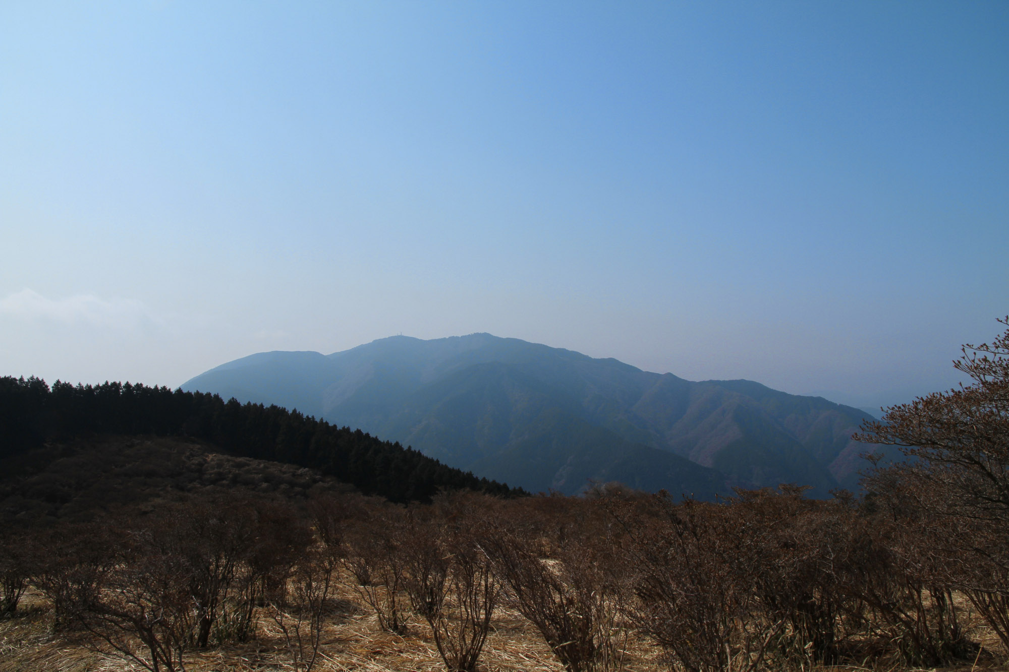 f0169998_12444468.jpg