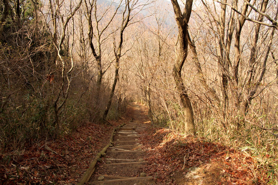 f0169998_1246324.jpg