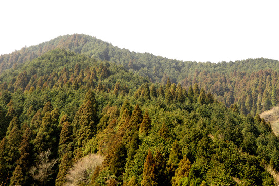 f0169998_12463789.jpg
