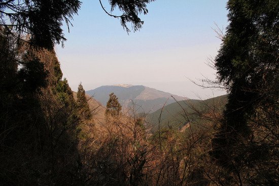 f0169998_1251931.jpg