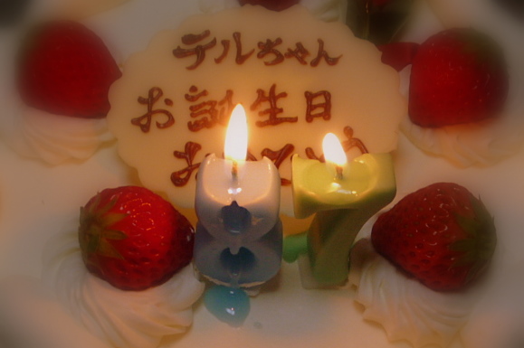 a0214206_1171299.jpg