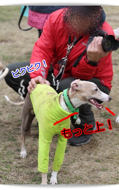 e0100007_9101897.jpg