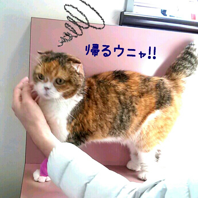 c0237608_22234182.jpg