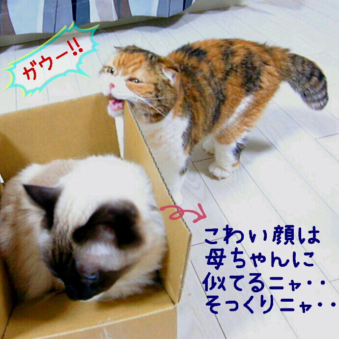 c0237608_22425940.jpg