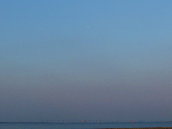 d0160611_8174290.png