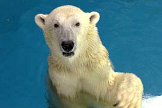 a0151913_2295989.jpg