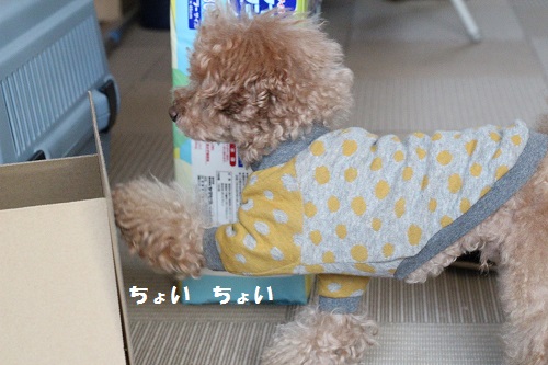 b0197418_17393563.jpg