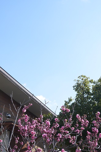 c0235725_14275368.jpg