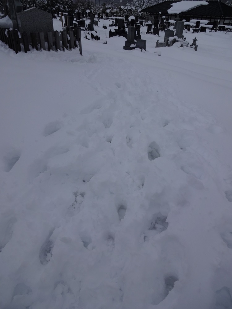 c0111229_17381077.jpg