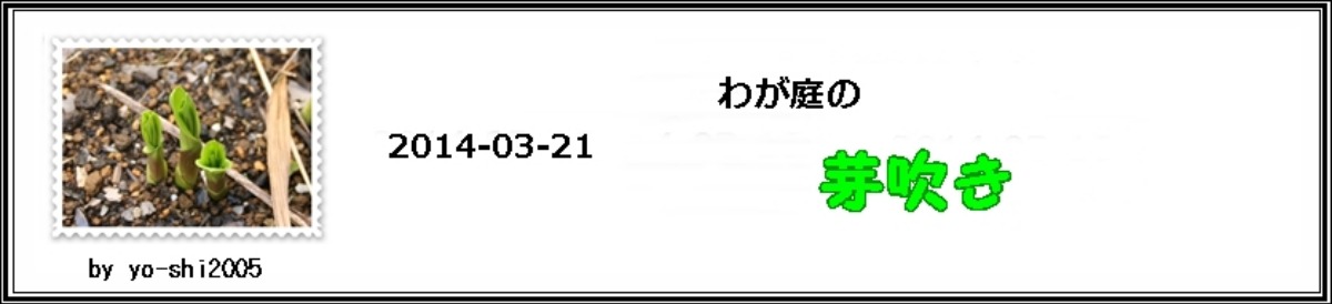 e0033229_2274784.jpg