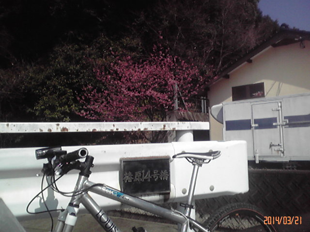 b0222530_13373950.jpg