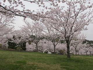 f0224632_222517.jpg