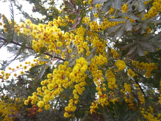f0002833_18202333.jpg
