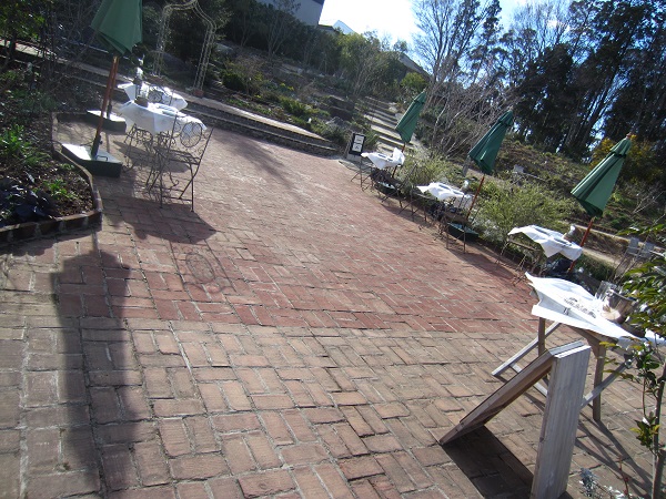 f0002833_18284621.jpg