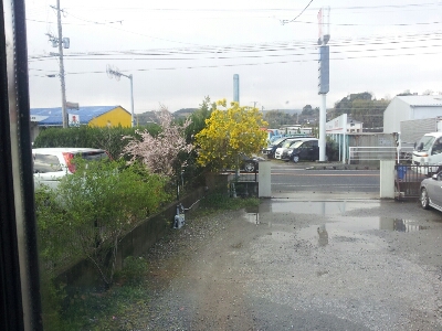 f0202633_95917.jpg