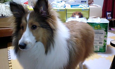 f0210439_14235889.jpg