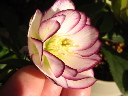 c0025140_225016.jpg