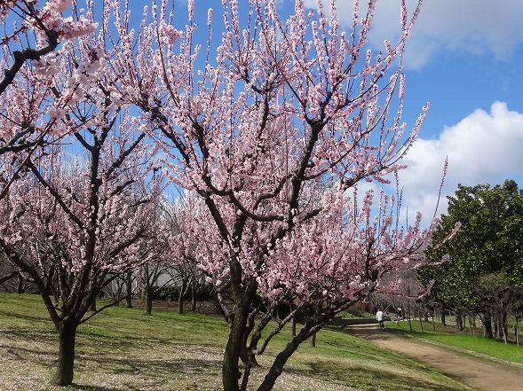 b0299042_16105100.jpg