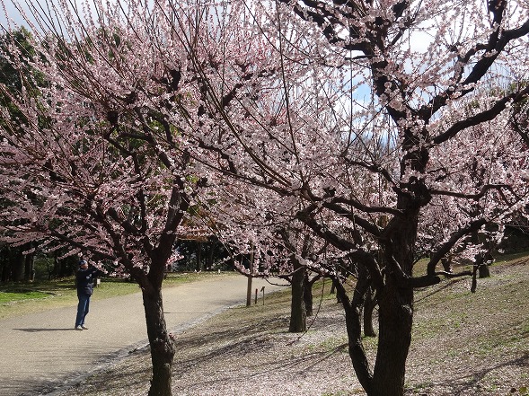 b0299042_1685759.jpg