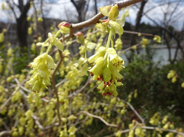 b0299042_169911.jpg