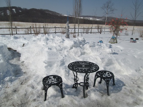 d0029363_1285060.jpg