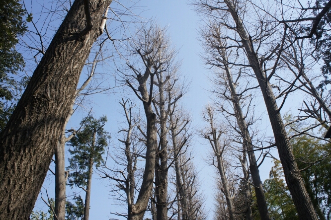 e0003465_1581972.jpg