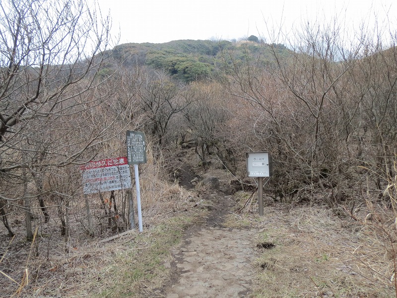 a0016171_2034825.jpg